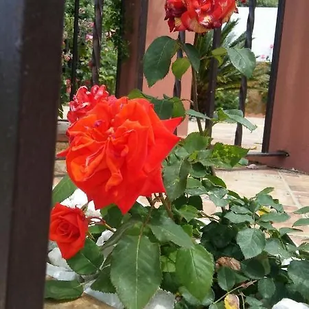 Maria *